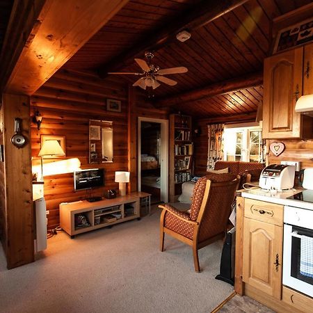 Rustic Log Cabin In Snowdonia By Seren Short Stays Trawsfynydd 外观 照片