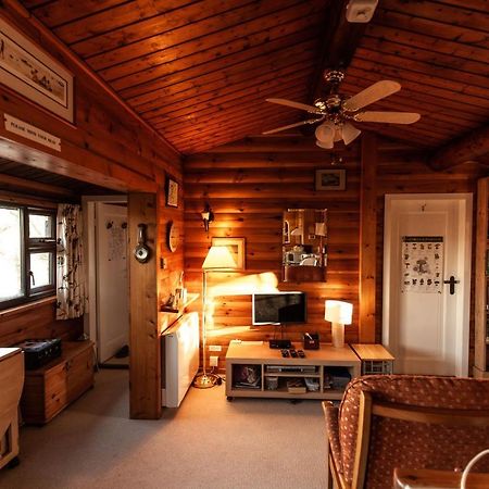 Rustic Log Cabin In Snowdonia By Seren Short Stays Trawsfynydd 外观 照片