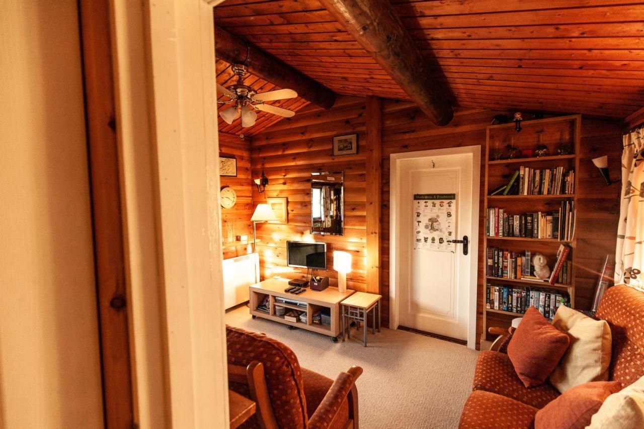 Rustic Log Cabin In Snowdonia By Seren Short Stays Trawsfynydd 外观 照片